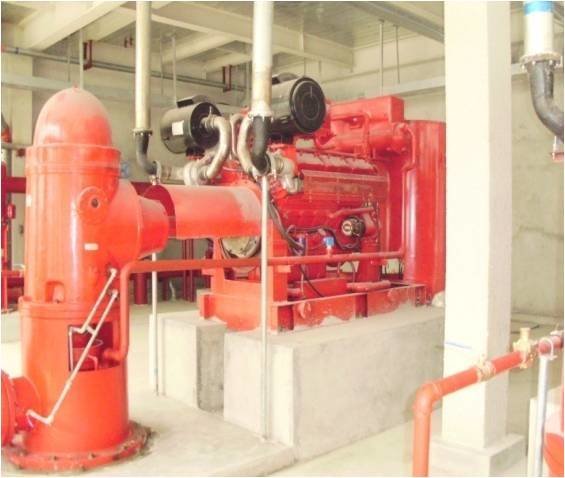 Beijing Capital Airport Project diesel vertical fire pump