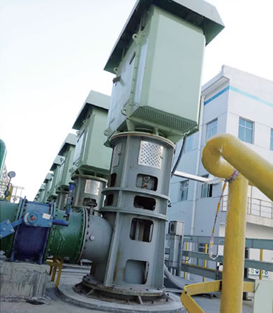 Vertical turbine pump of Zhongtian Hechuang circulating water pump project